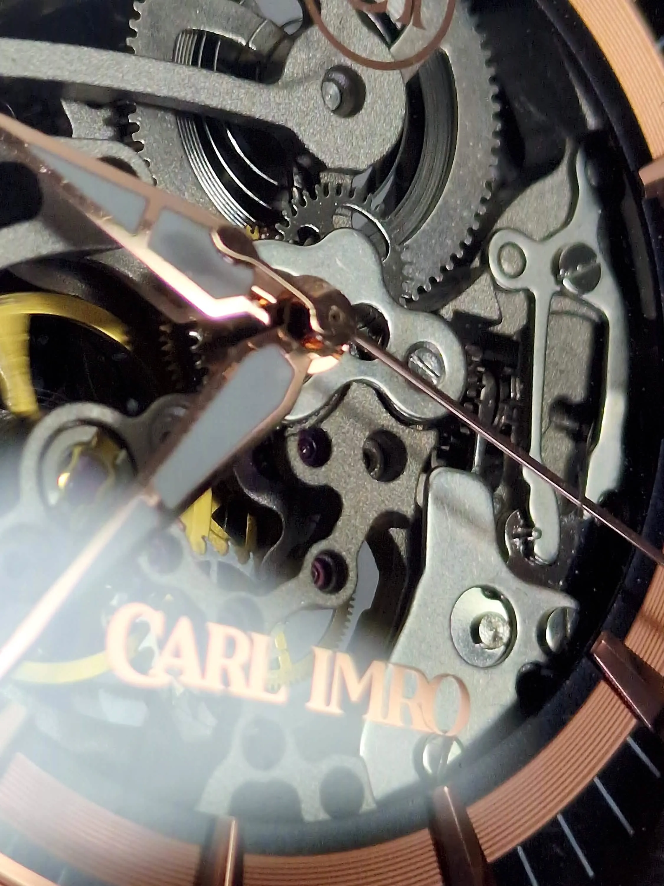 Carl Imro eSqueleto RZ Elite Timepiece