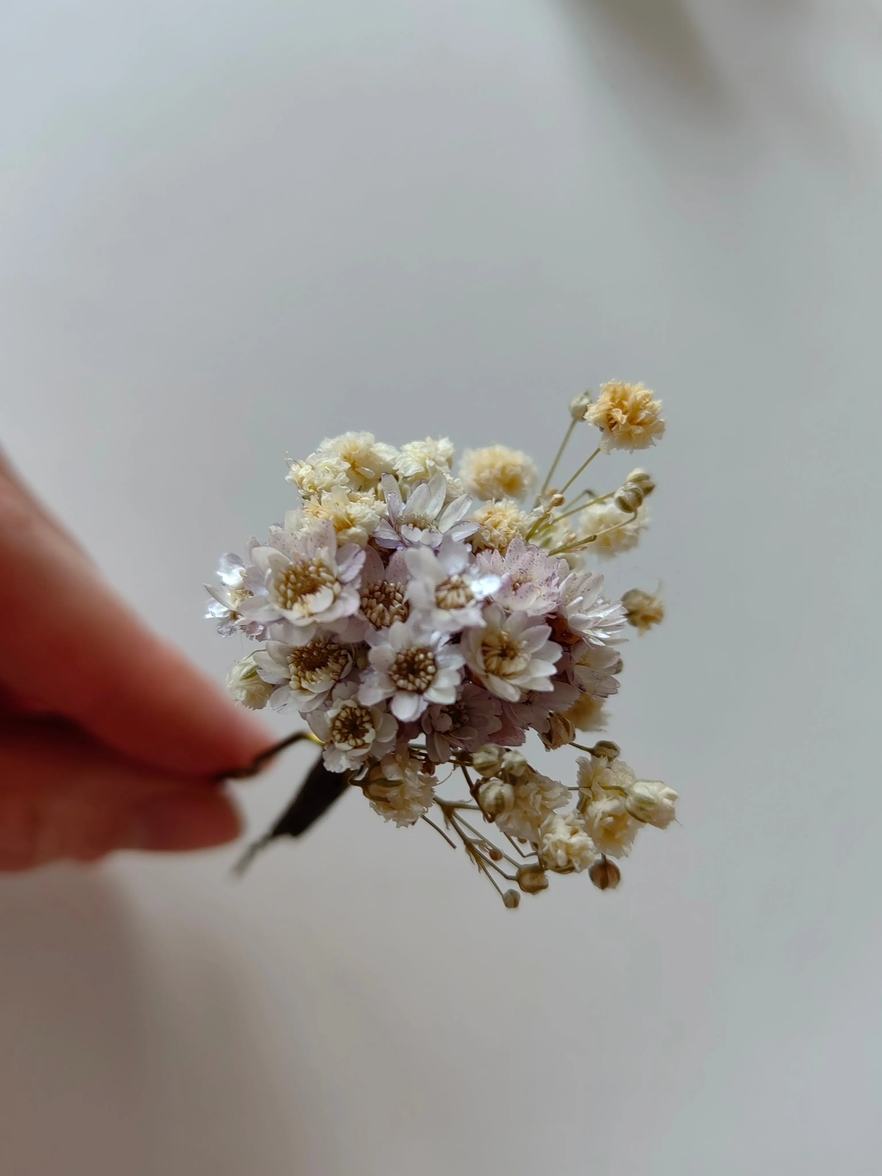 Dried flower hair comb and hairpins