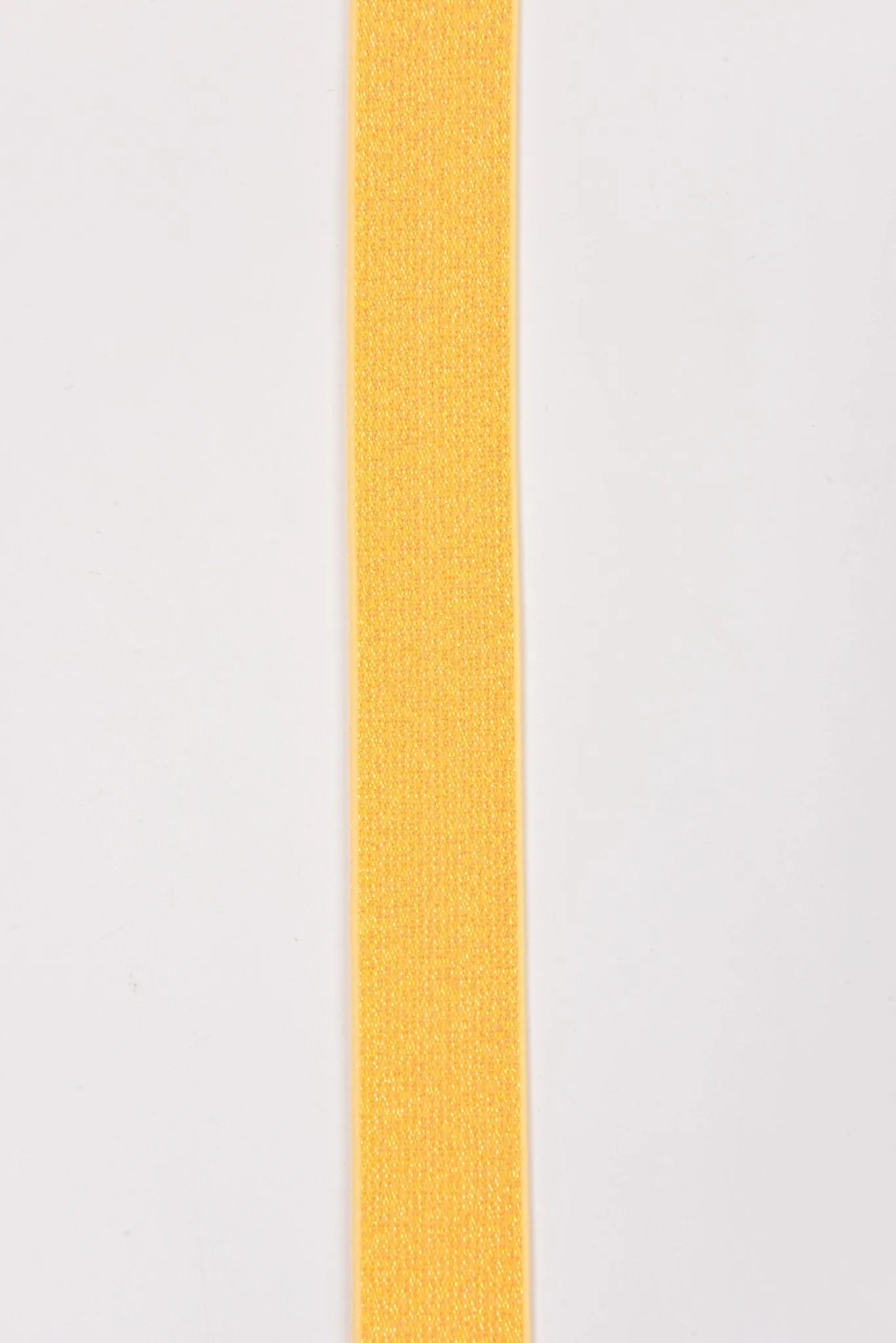 Elastic Lurex Strap Band 25mm