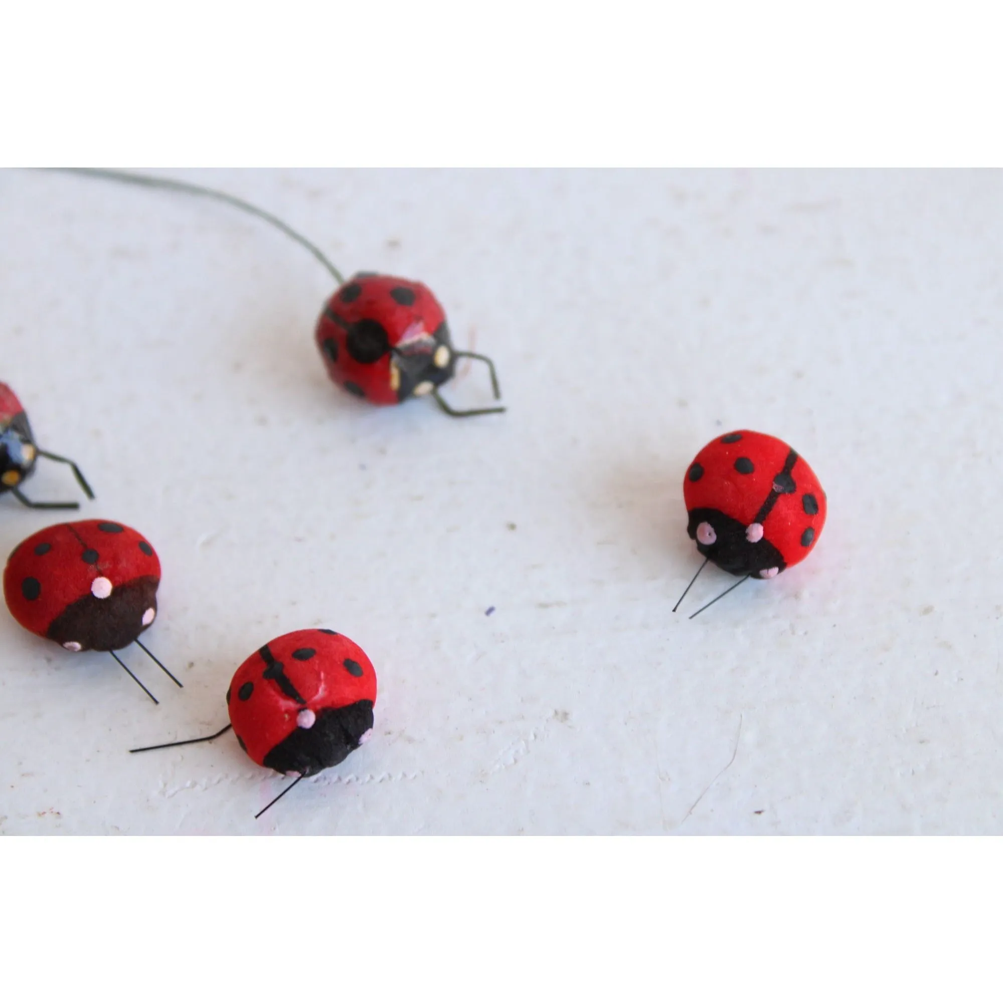 Small Ladybugs, Lot of Ten