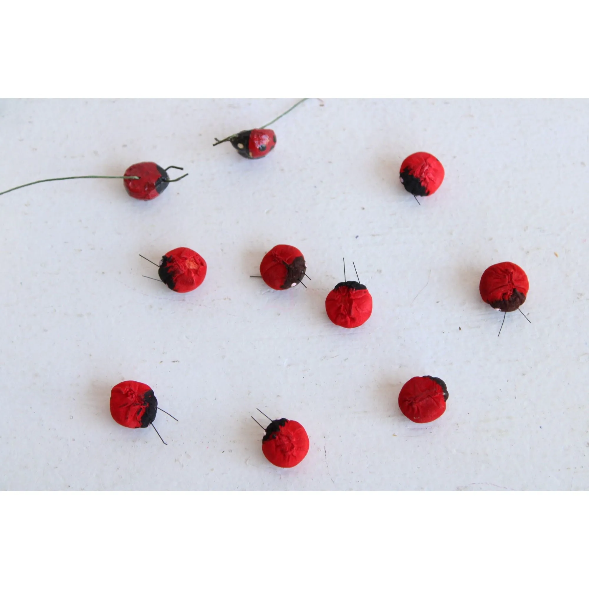 Small Ladybugs, Lot of Ten
