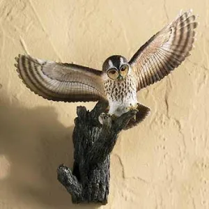 Tawny Owl Wall Hook