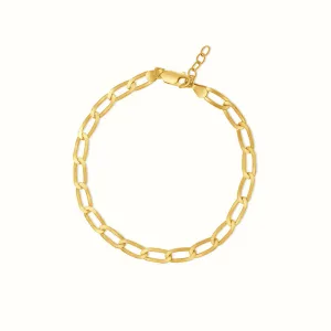 Women's Vermeil Flat Paperclip Anklet